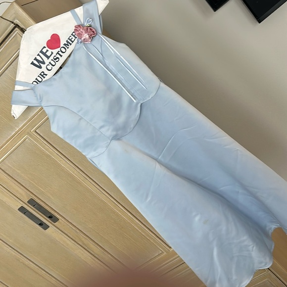 Girls size 8 formal dress. Baby blue with rosettes - Picture 1 of 4